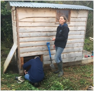 composting-toilet